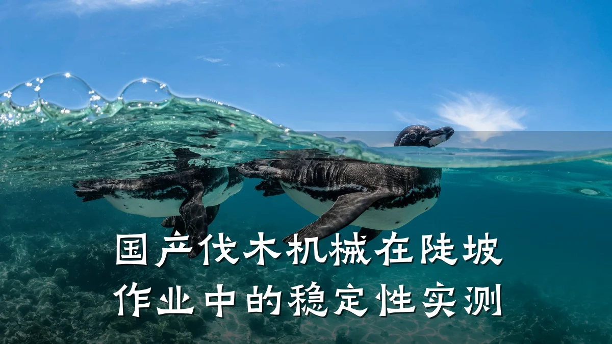 国产伐木机械在陡坡作业中的稳定性实测