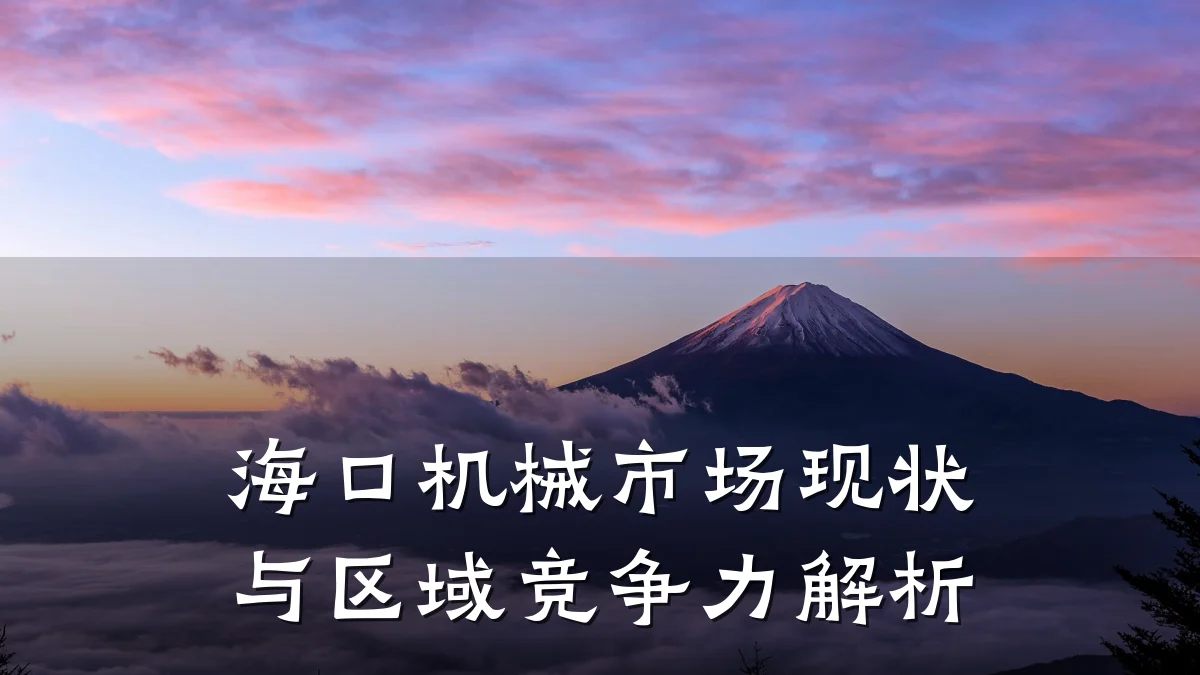 海口机械市场现状与区域竞争力解析
