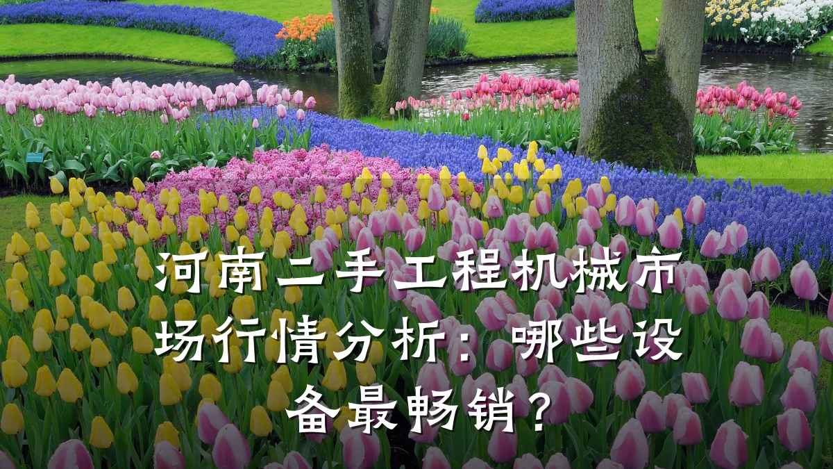 河南二手工程机械市场行情分析:哪些设备最畅销?