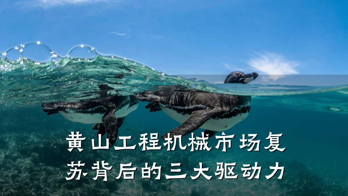 黄山工程机械市场复苏背后的三大驱动力