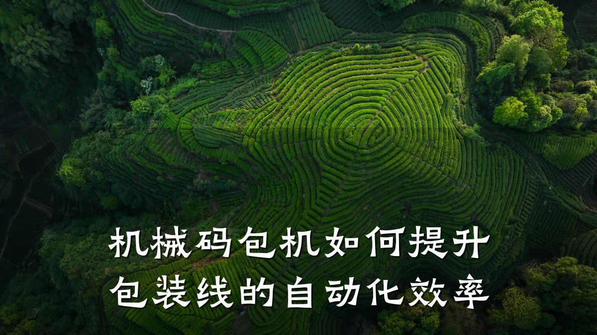 机械码包机如何提升包装线的自动化效率