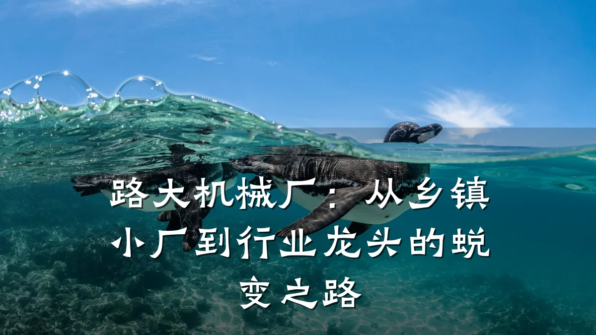 路大机械厂:从乡镇小厂到行业龙头的蜕变之路