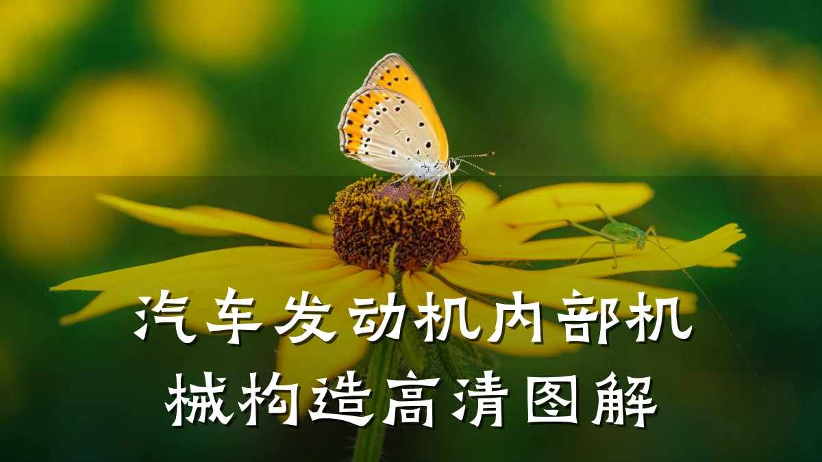 汽车发动机内部机械构造高清图解