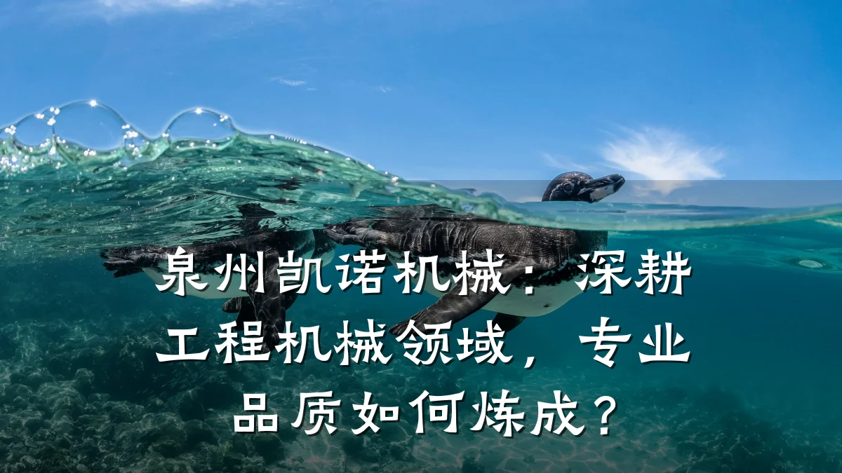 泉州凯诺机械：深耕工程机械领域，专业品质如何炼成？