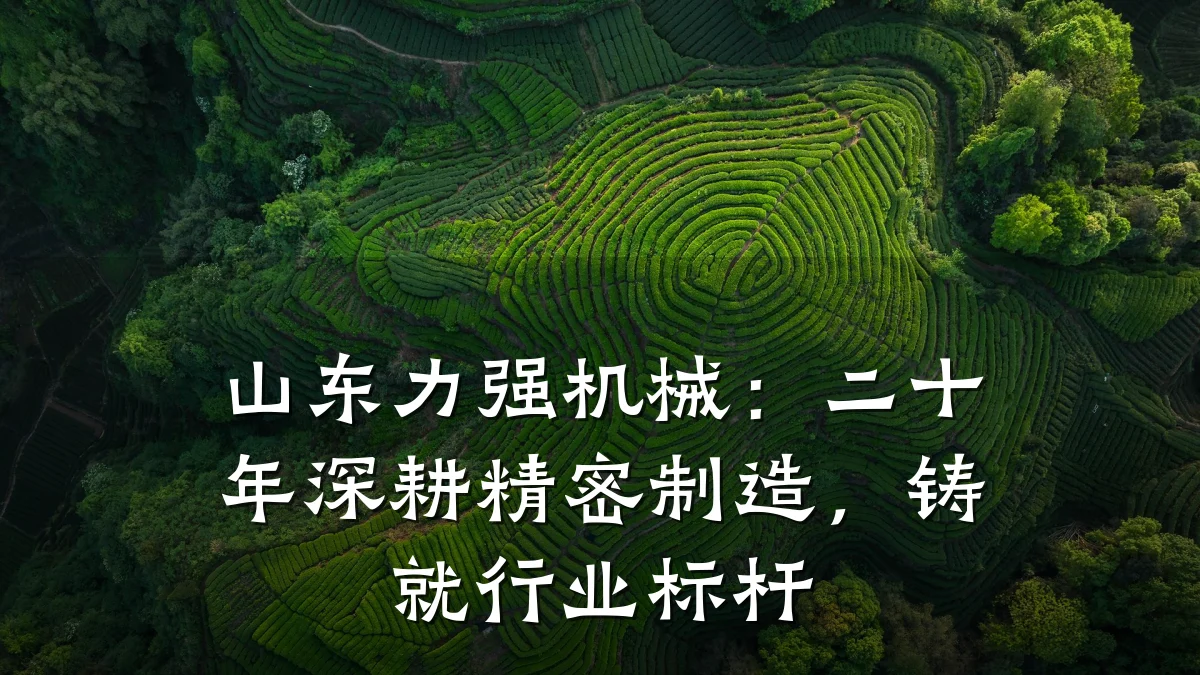 山东力强机械:二十年深耕精密制造,铸就行业标杆
