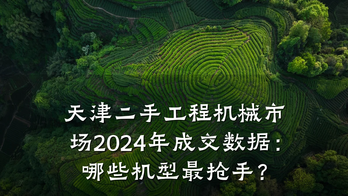 天津二手工程机械市场2024年成交数据:哪些机型最抢手?
