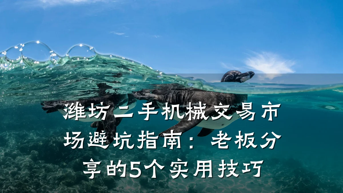 潍坊二手机械交易市场避坑指南:老板分享的5个实用技巧