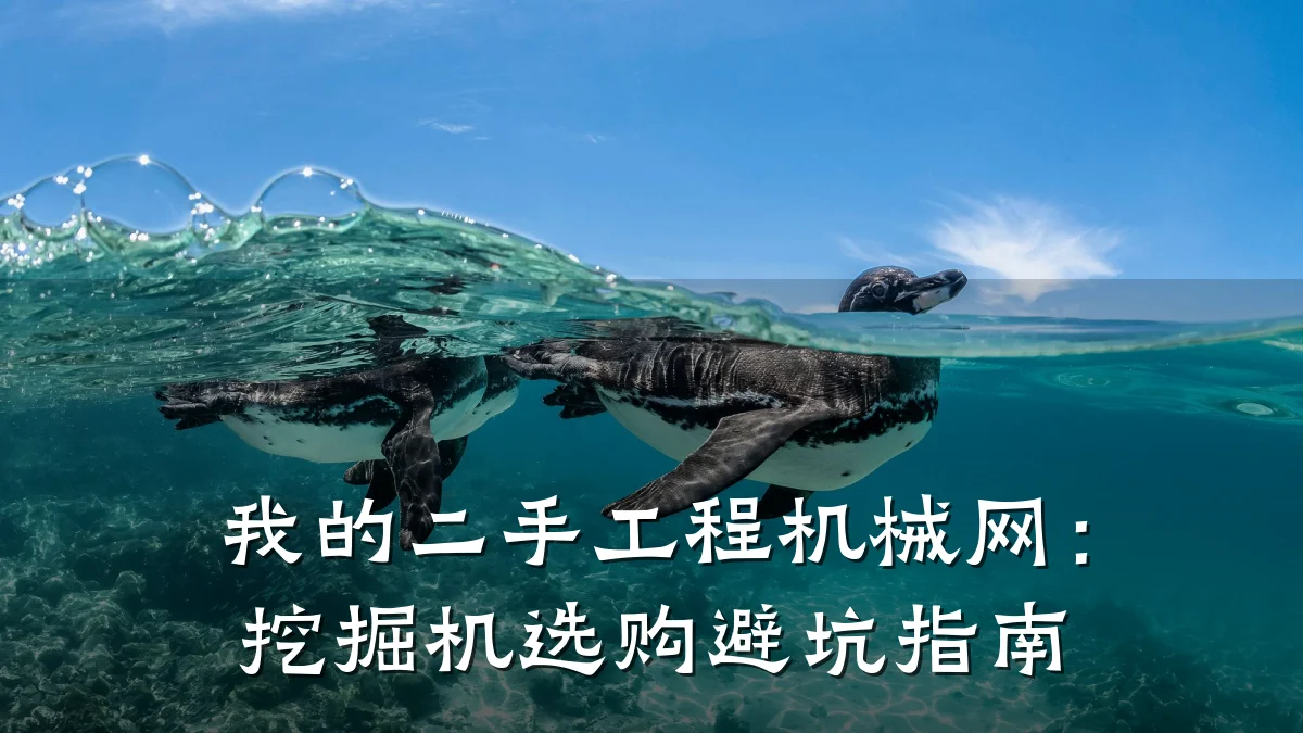 我的二手工程机械网:挖掘机选购避坑指南