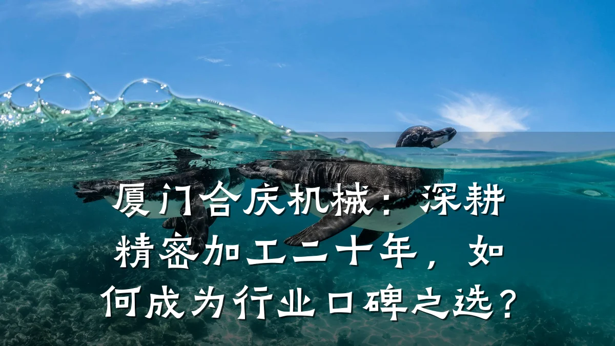 厦门合庆机械:深耕精密加工二十年,如何成为行业口碑之选?