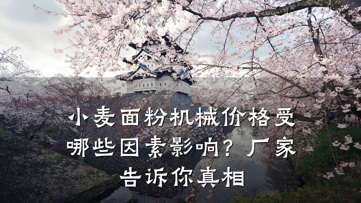 小麦面粉机械价格受哪些因素影响?厂家告诉你真相