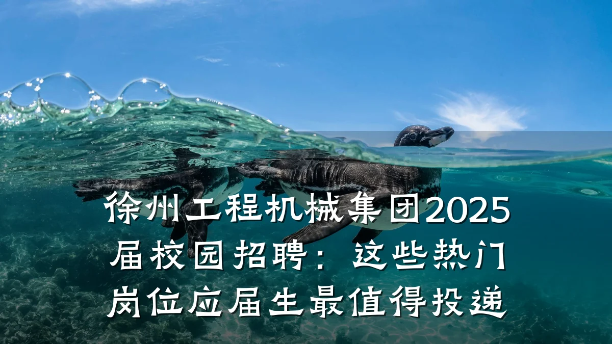 徐州工程机械集团2025届校园招聘:这些热门岗位应届生最值得投递