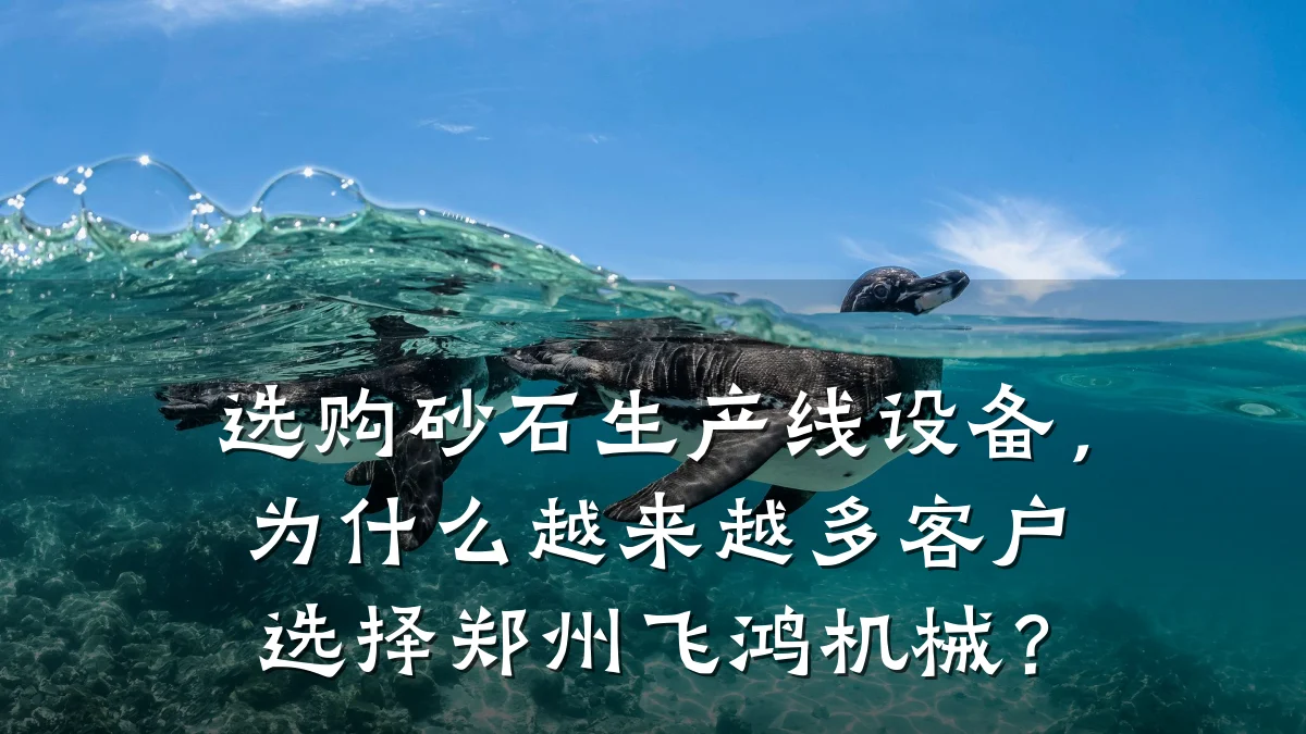 选购砂石生产线设备,为什么越来越多客户选择郑州飞鸿机械?