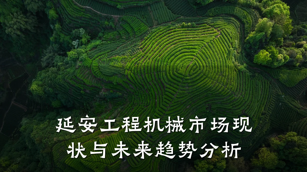 延安工程机械市场现状与未来趋势分析