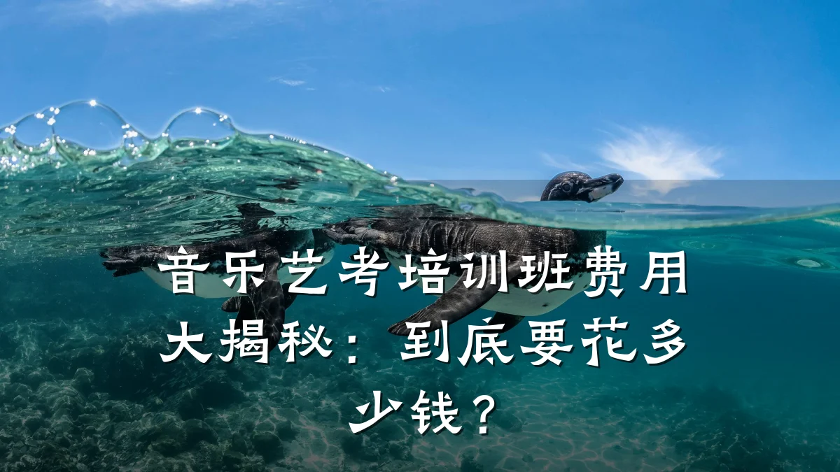 音乐艺考培训班费用大揭秘:到底要花多少钱?