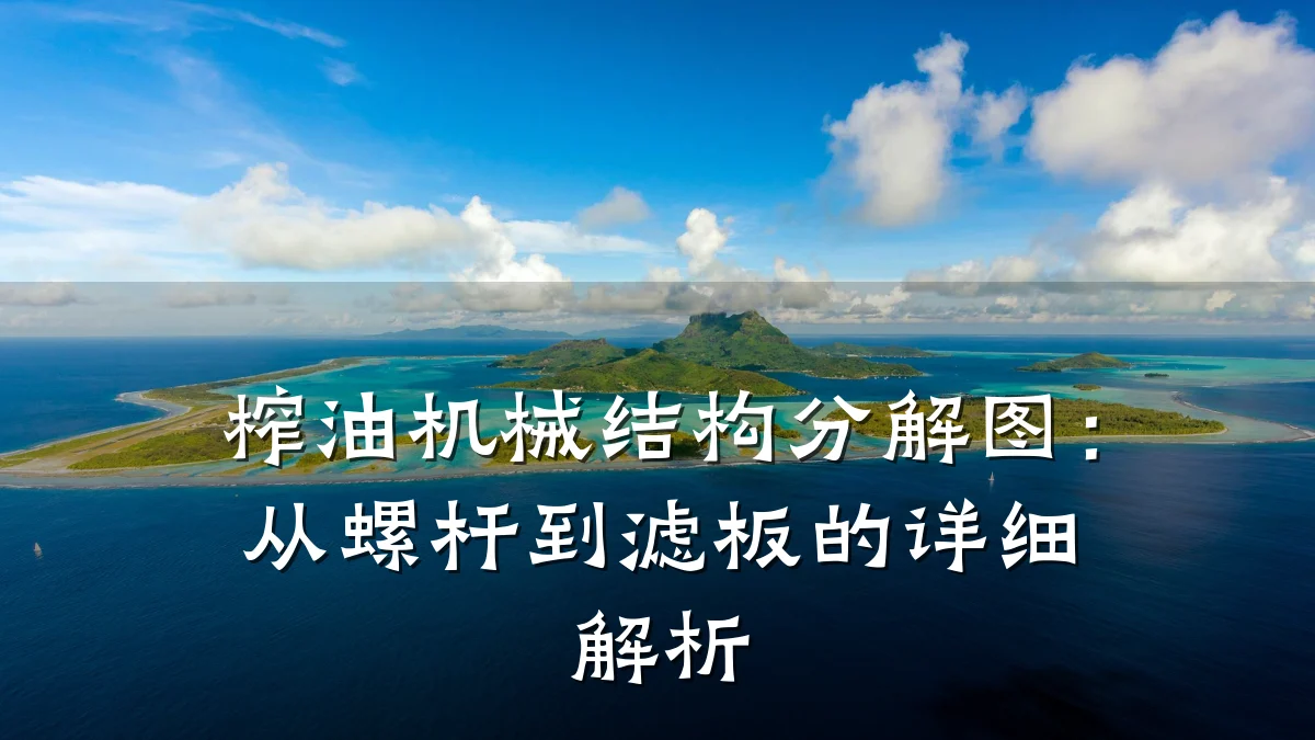 榨油机械结构分解图:从螺杆到滤板的详细解析