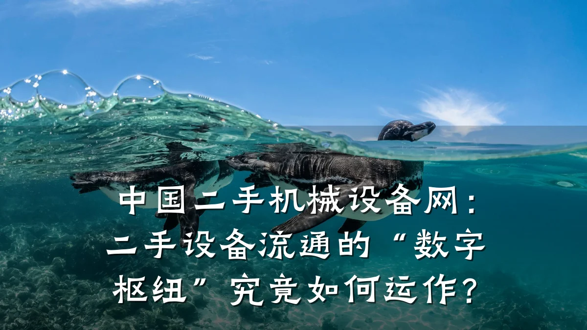 中国二手机械设备网:二手设备流通的“数字枢纽”究竟如何运作?
