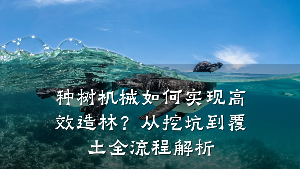 种树机械如何实现高效造林?从挖坑到覆土全流程解析