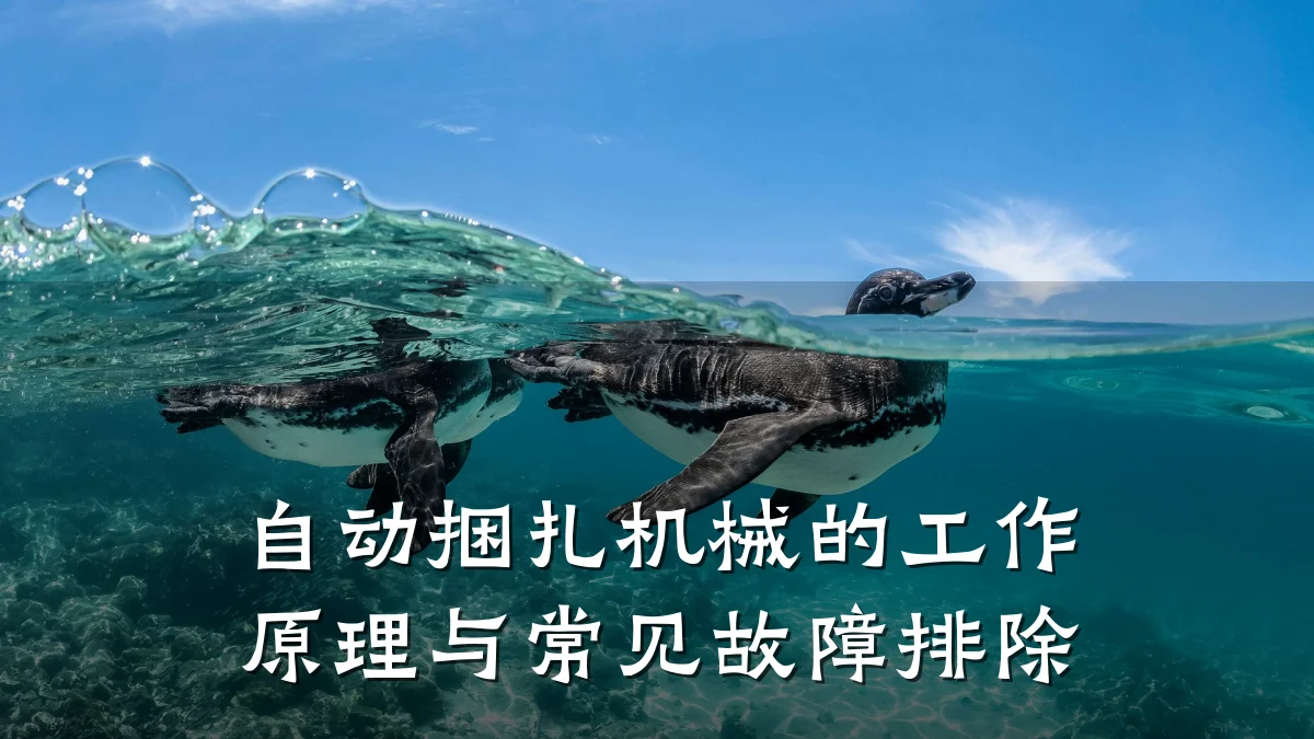 自动捆扎机械的工作原理与常见故障排除