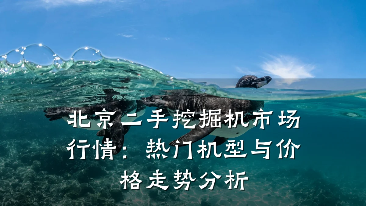 北京二手挖掘机市场行情:热门机型与价格走势分析