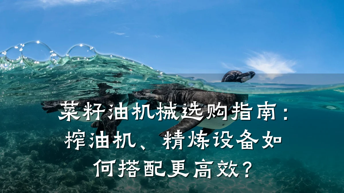 菜籽油机械选购指南:榨油机、精炼设备如何搭配更高效?