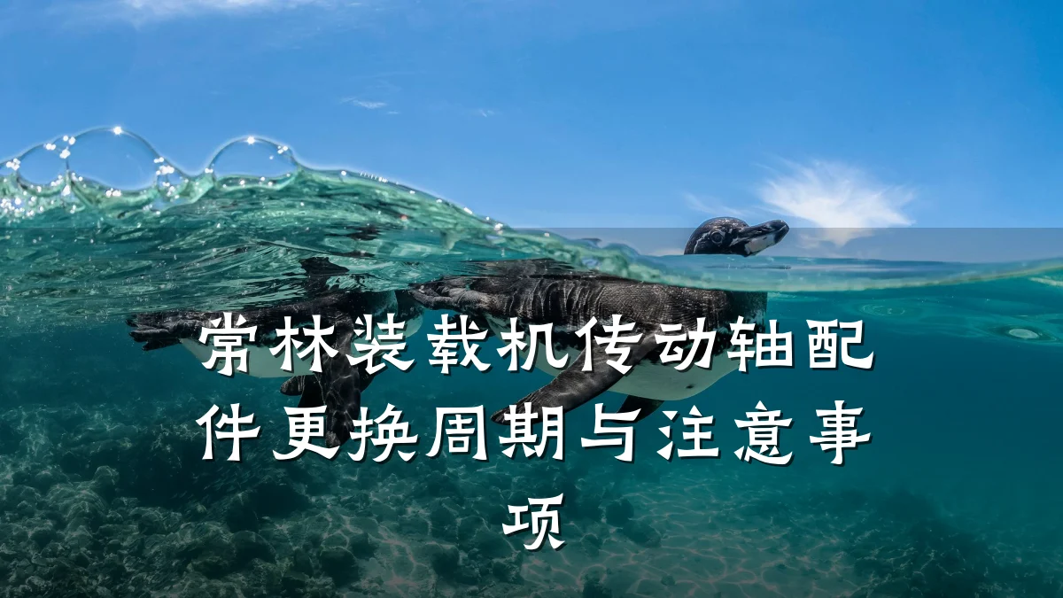 常林装载机传动轴配件更换周期与注意事项
