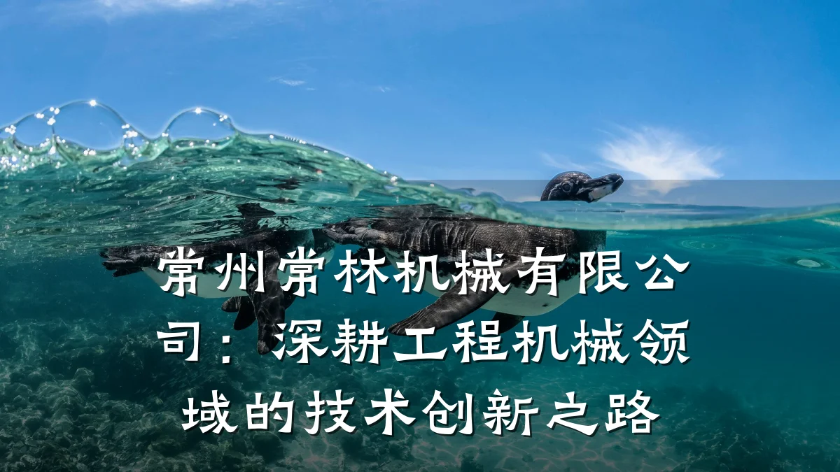 常州常林机械有限公司:深耕工程机械领域的技术创新之路