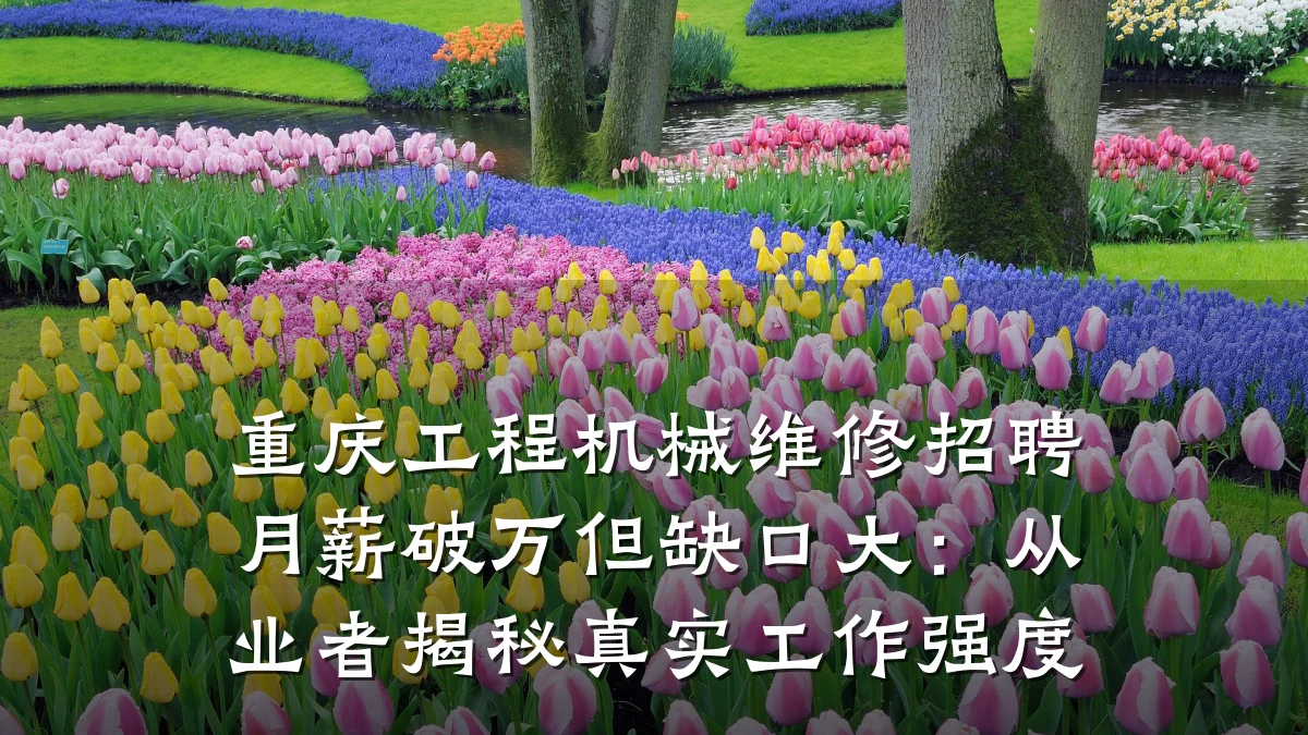 重庆工程机械维修招聘月薪破万但缺口大:从业者揭秘真实工作强度