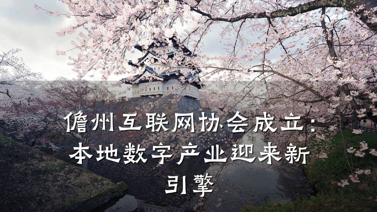 儋州互联网协会成立:本地数字产业迎来新引擎