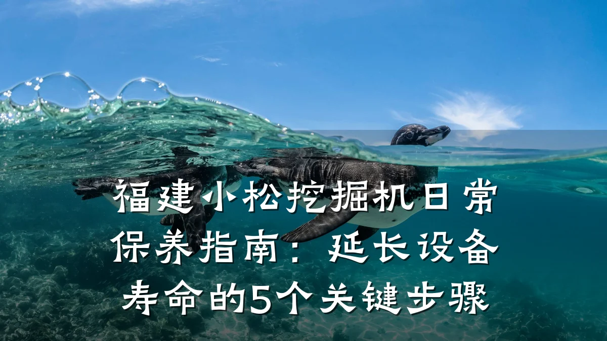 福建小松挖掘机日常保养指南：延长设备寿命的5个关键步骤