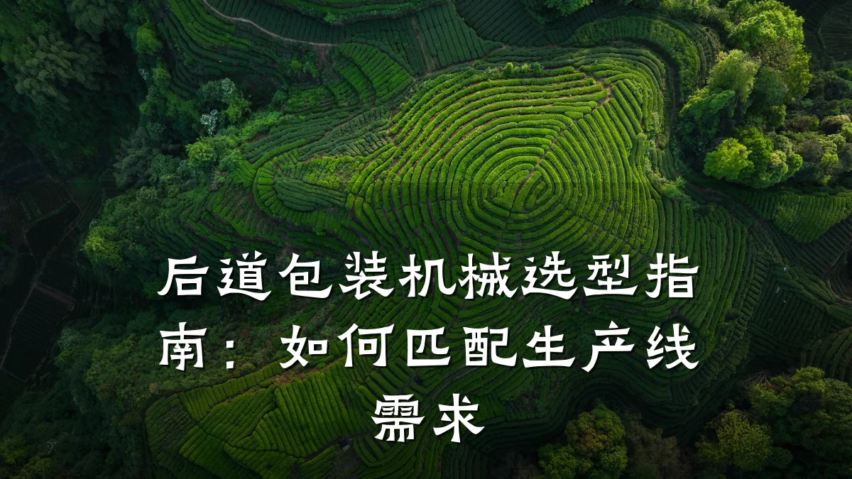 后道包装机械选型指南:如何匹配生产线需求