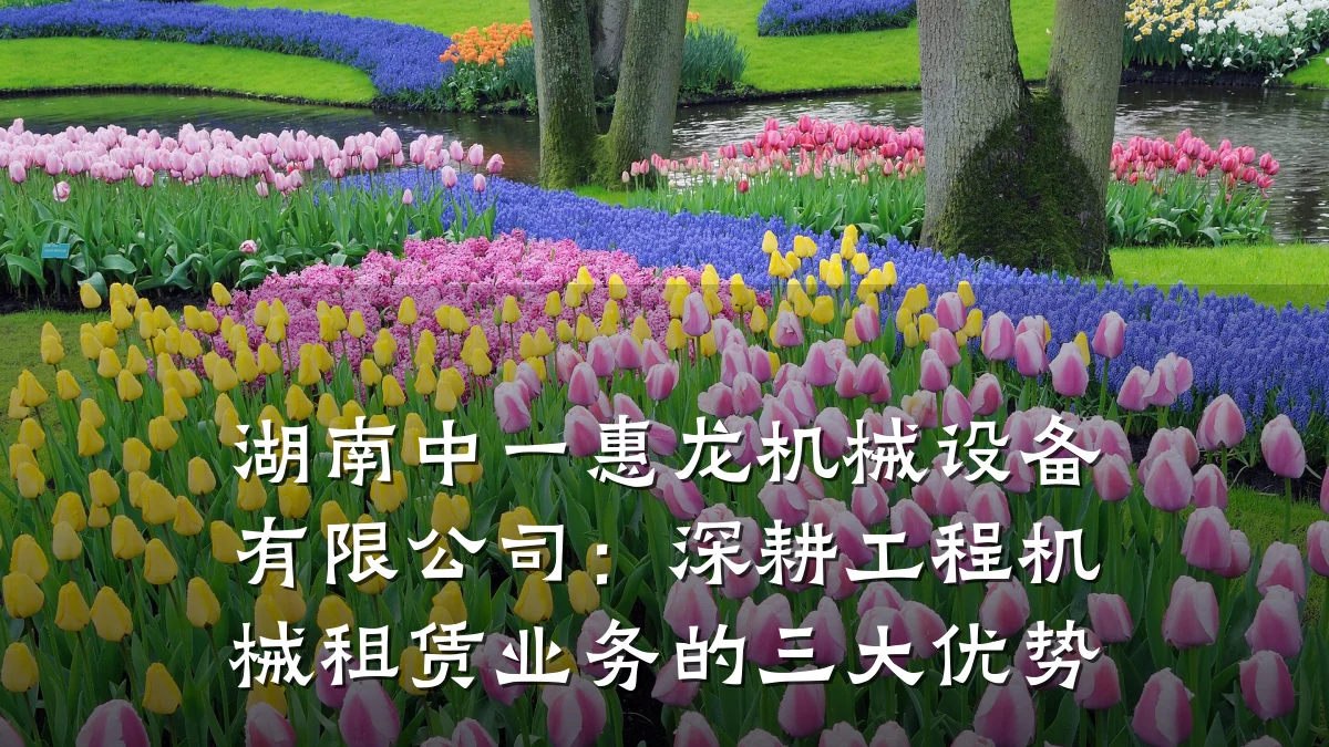 湖南中一惠龙机械设备有限公司:深耕工程机械租赁业务的三大优势