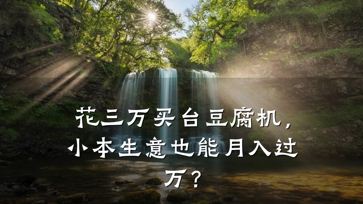花三万买台豆腐机,小本生意也能月入过万?