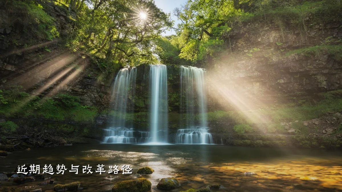 近期趋势与改革路径