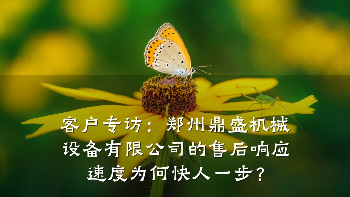 客户专访:郑州鼎盛机械设备有限公司的售后响应速度为何快人一步?