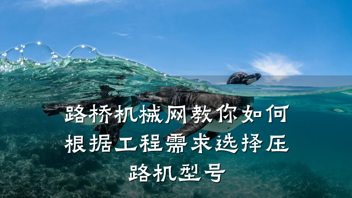 路桥机械网教你如何根据工程需求选择压路机型号