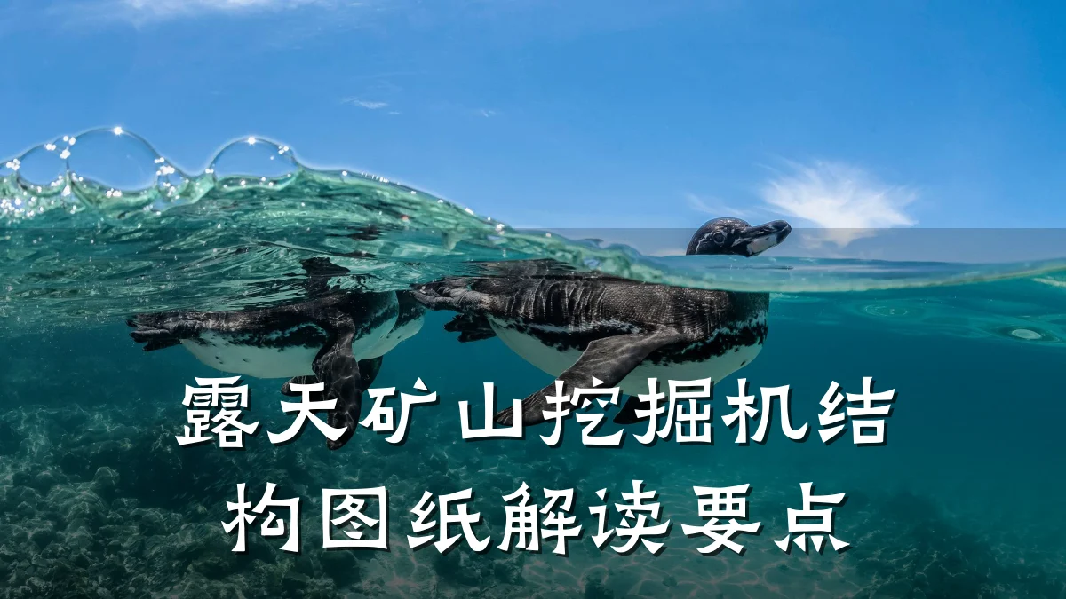 露天矿山挖掘机结构图纸解读要点