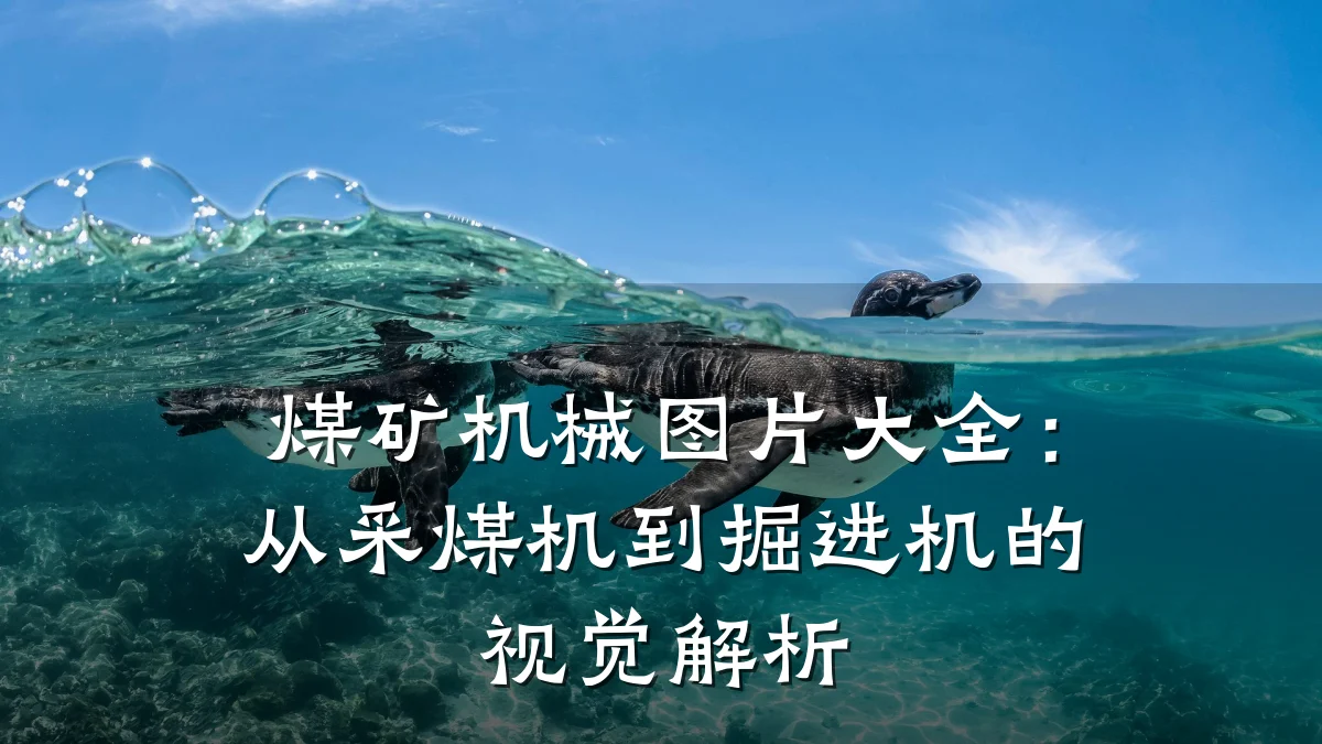 煤矿机械图片大全:从采煤机到掘进机的视觉解析