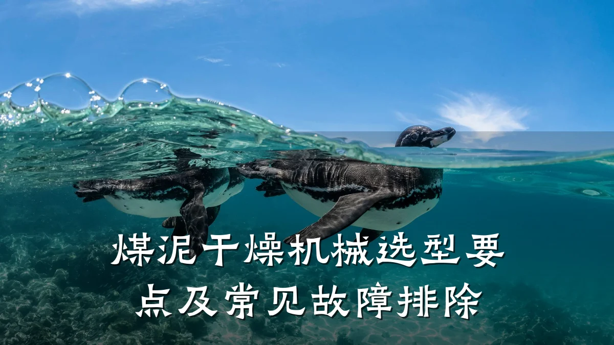 煤泥干燥机械选型要点及常见故障排除