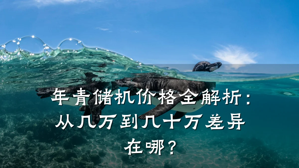 年青储机价格全解析:从几万到几十万差异在哪?