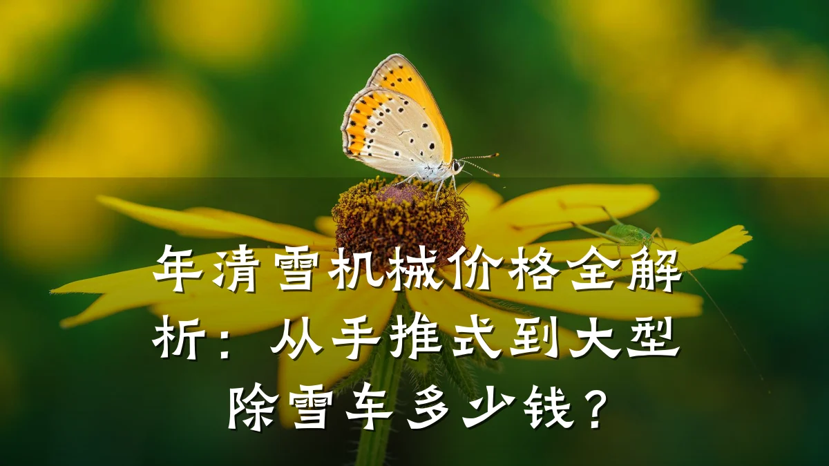 年清雪机械价格全解析:从手推式到大型除雪车多少钱?