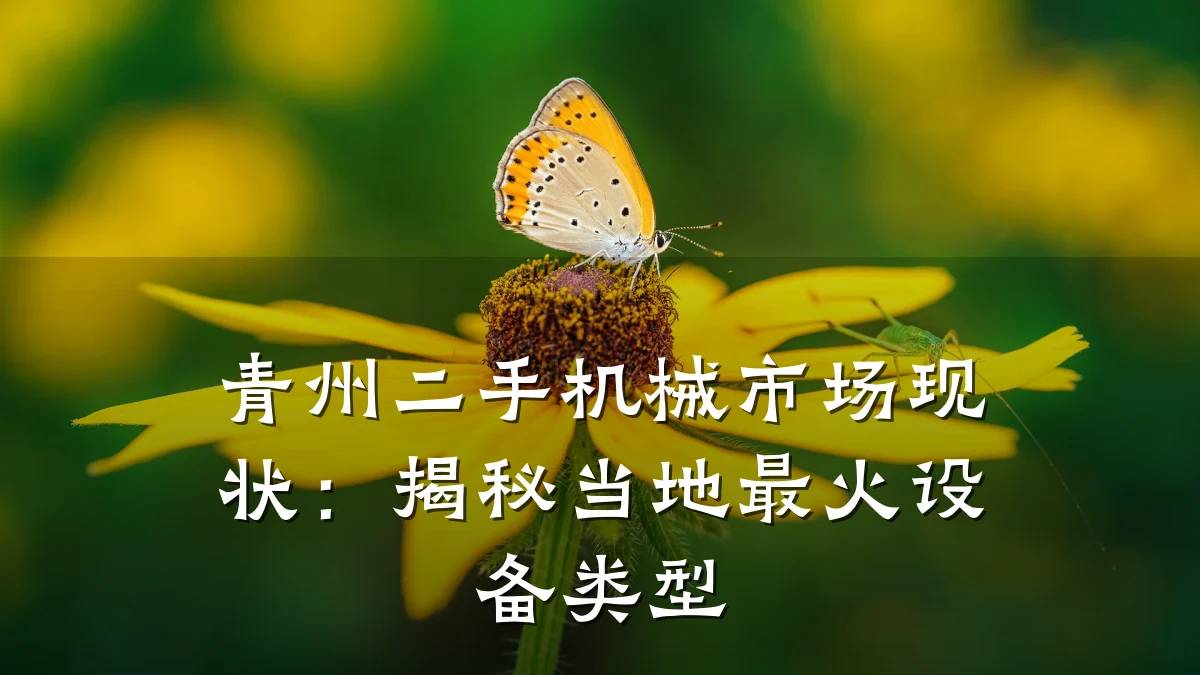 青州二手机械市场现状:揭秘当地最火设备类型