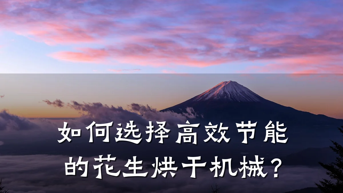 如何选择高效节能的花生烘干机械?