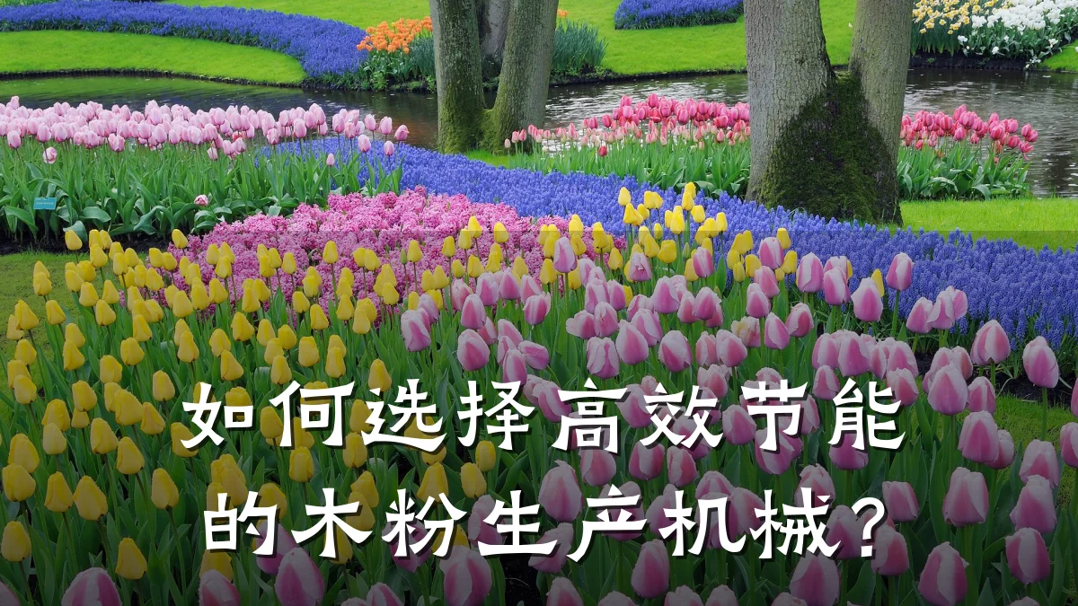 如何选择高效节能的木粉生产机械?