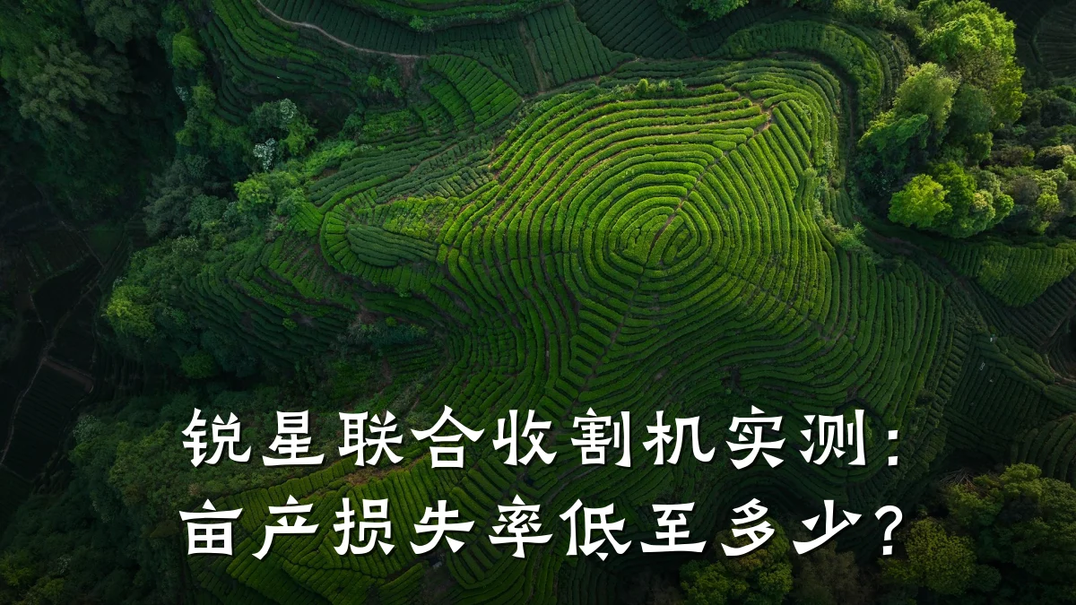 锐星联合收割机实测：亩产损失率低至多少？