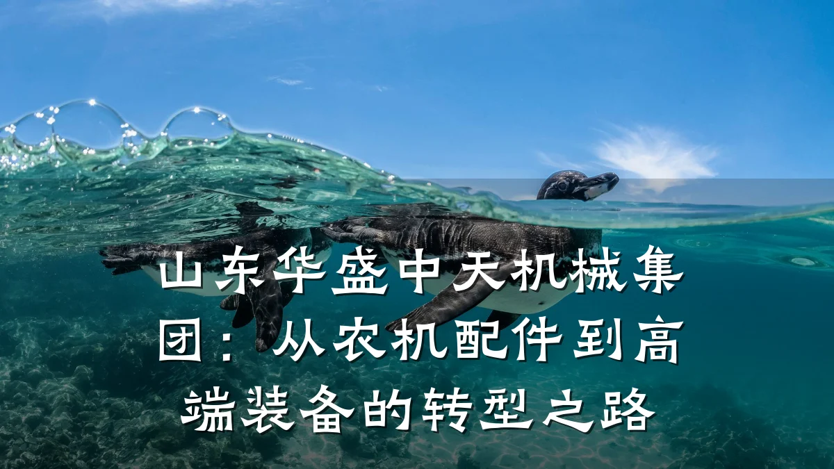 山东华盛中天机械集团:从农机配件到高端装备的转型之路