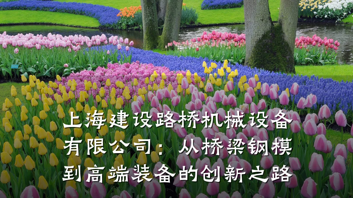 上海建设路桥机械设备有限公司:从桥梁钢模到高端装备的创新之路