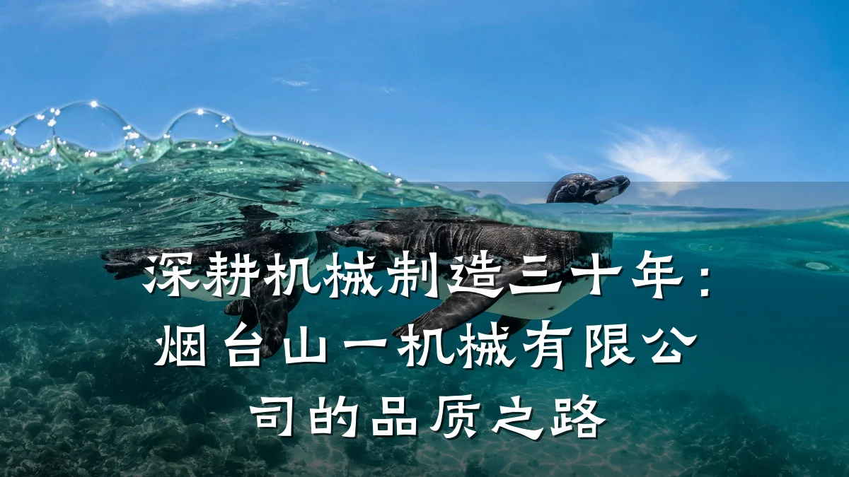 深耕机械制造三十年:烟台山一机械有限公司的品质之路