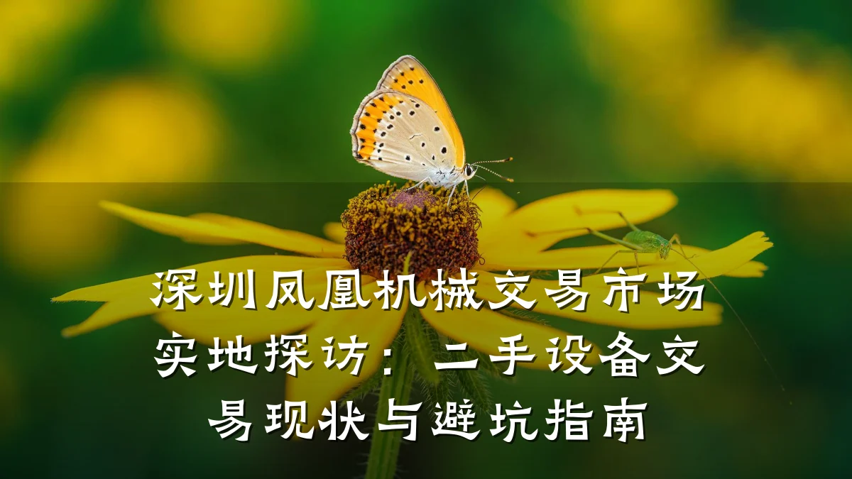 深圳凤凰机械交易市场实地探访:二手设备交易现状与避坑指南