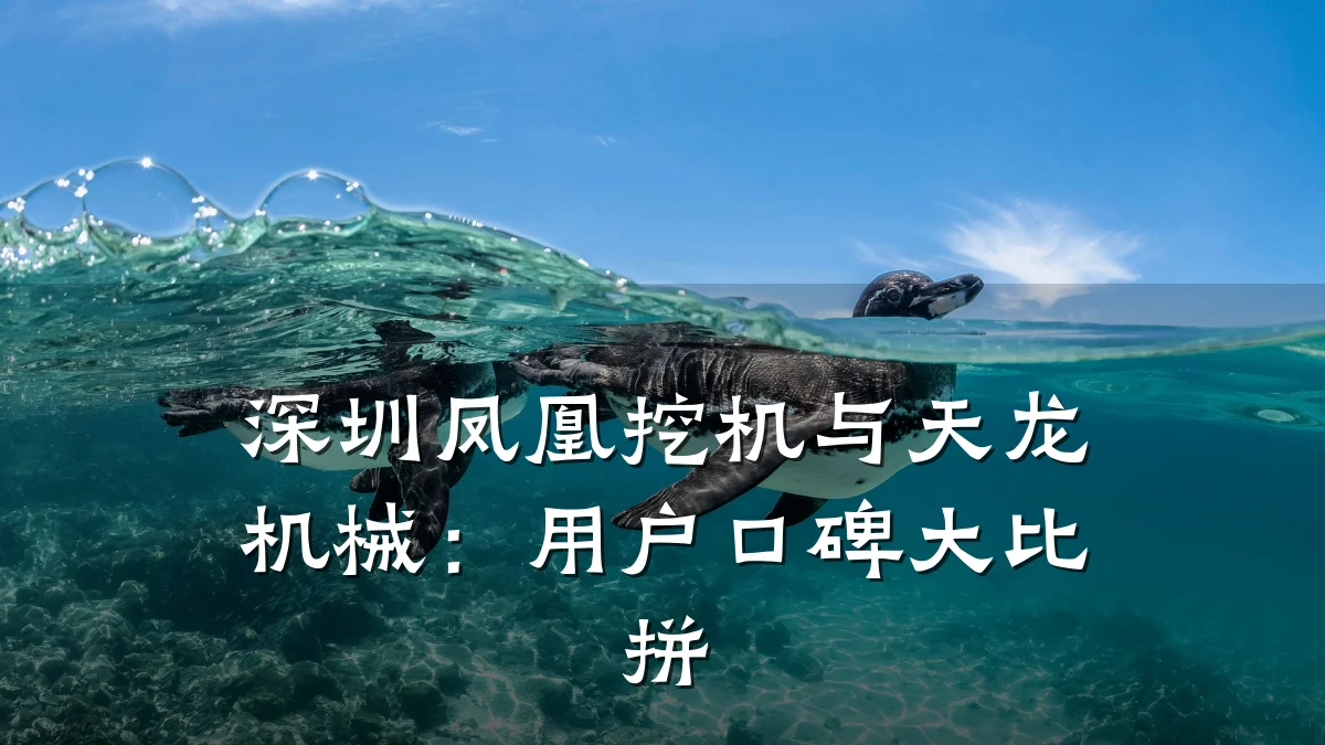 深圳凤凰挖机与天龙机械:用户口碑大比拼