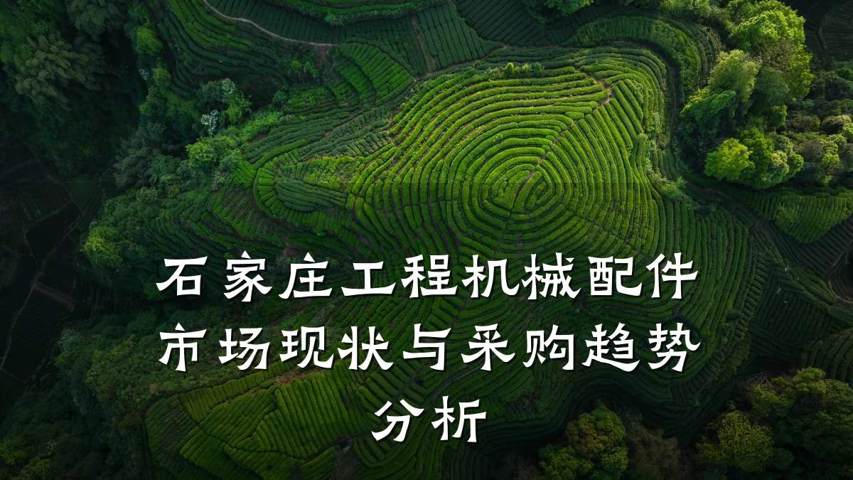 石家庄工程机械配件市场现状与采购趋势分析